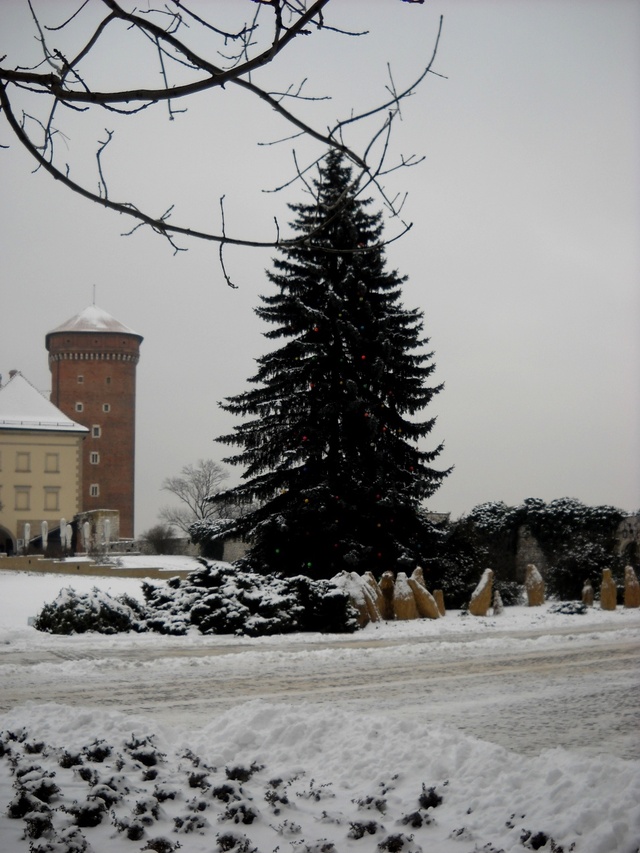 Wawel