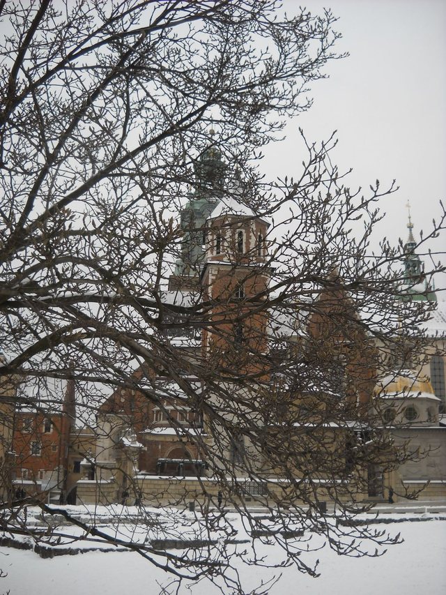 Wawel