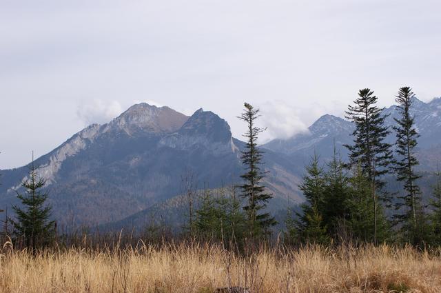 Widok z Rusinowej