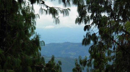 Andy – Kolumbia