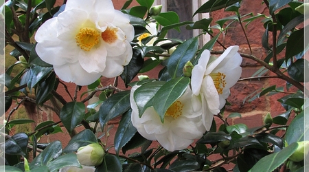 Wiosna 5 – Coventry, Wielka Brytania