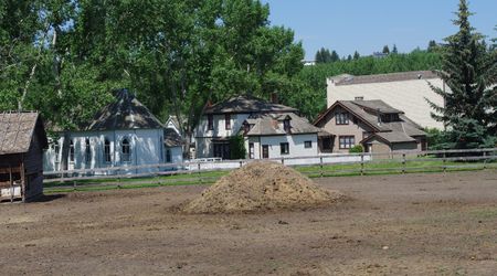 Imgp3431 – Edmonton, Kanada
