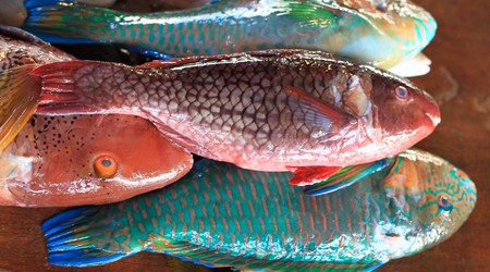 Coron – Filipiny