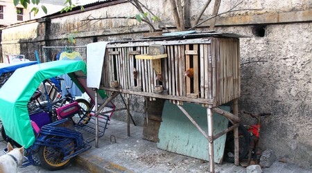 Manila – Filipiny