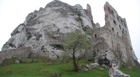 Podzamcze - ruiny zamku Ogrodzieniec – Polska
