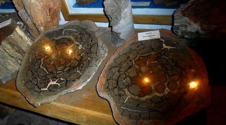 Muzeum Ziemi – Kletno, Polska