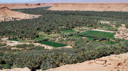oaza – Erfoud, Maroko