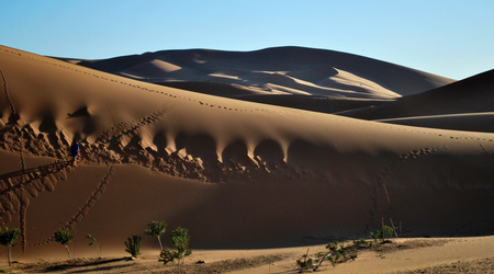Erg Chebbi – Erfoud, Maroko