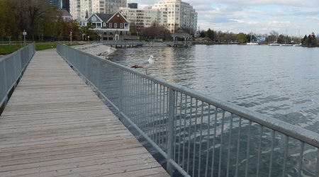 Drugi mostek i dwie mewy – Toronto, Kanada