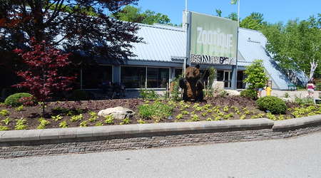 Cepeliada,Toronto ZOO,Toronto,Canada – Kanada