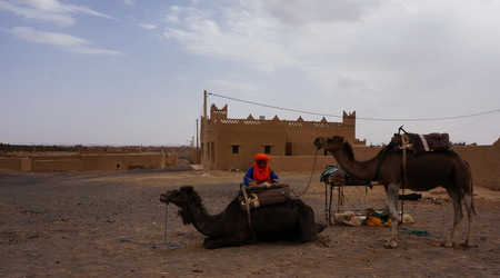 Mohammed szykuje nasze wielblady – Merzouga, Maroko