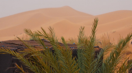 25715168 - Merzouga 3 dniowa wyprawa na Sahare Erg Szebbi – Maroko