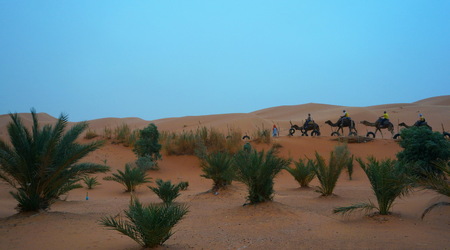 nastepna karawana – Merzouga, Maroko