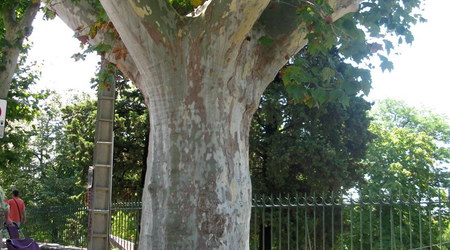 Arles – Francja