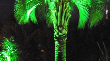 Zielono ... mi – Batumi, Gruzja