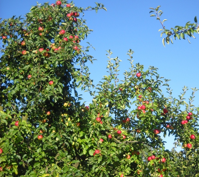 Podkarpacie