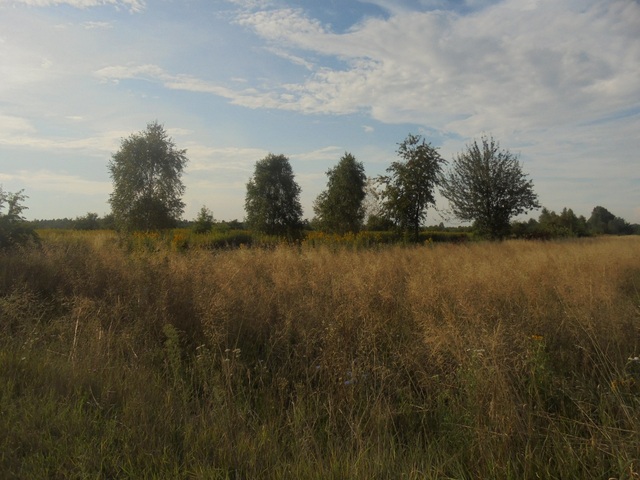 Podkarpacie