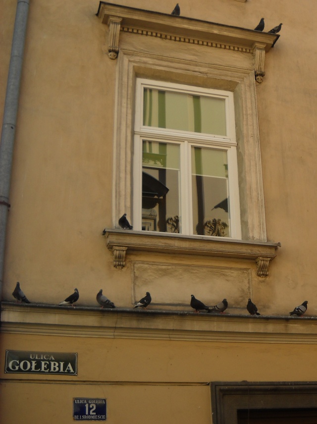 Kraków