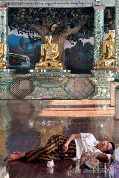W Shwedagon