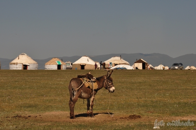 Nad jeziorem Songköl