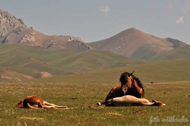 Nad jeziorem Songköl