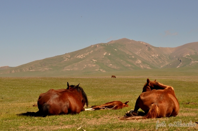 Nad jeziorem Songköl