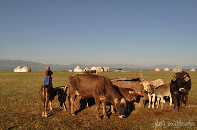 Nad jeziorem Songköl