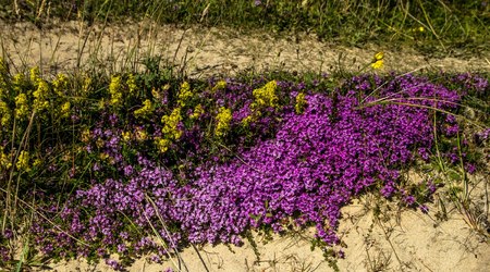 16 okolice carrickfinn – Donegal, Irlandia