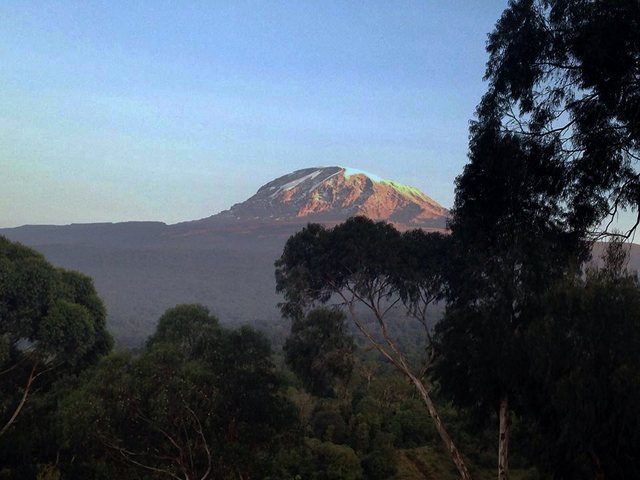 Pozdrowienia spod Kilimanjaro (12.01.15)