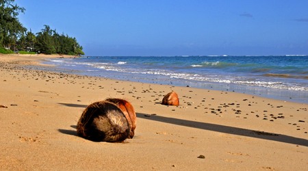 Oahu, widok z okna... – Honolulu, Stany Zjednoczone Ameryki