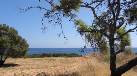 25730894 - Líndos Kiotari i okolice – Grecja