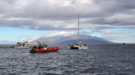 W poszukiwaniu wielorybów, Maui – Kahului, Stany Zjednoczone Ameryki