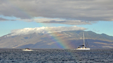 W poszukiwaniu wielorybów, Maui – Kahului, Stany Zjednoczone Ameryki