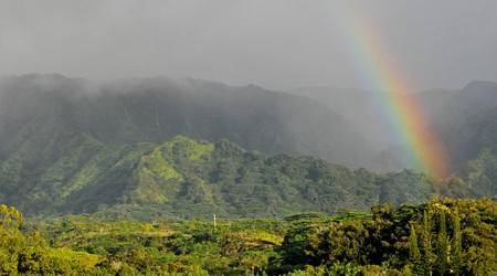 Kauai, okolica Kapaa – Stany Zjednoczone Ameryki