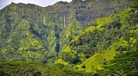 Kauai, okolica Kapaa – Stany Zjednoczone Ameryki