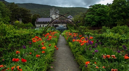 26 ogrody glenveagh – Donegal, Irlandia