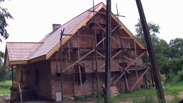 Pic 2010