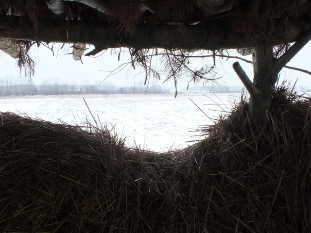 Dscf0669