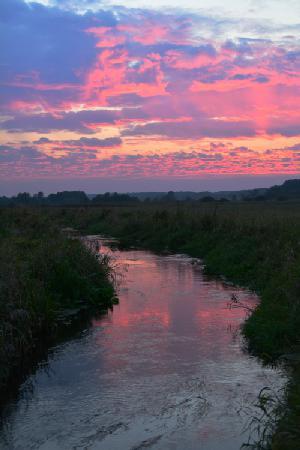 Dsc 0539