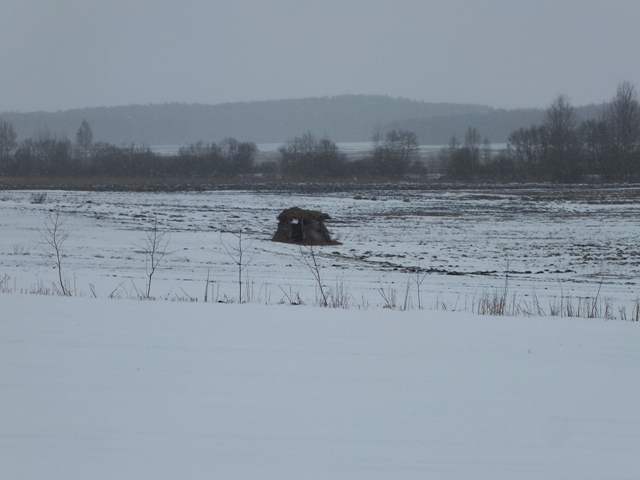 Dscf0643