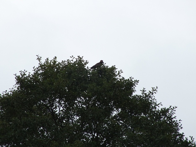 Dscf9760