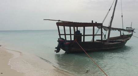25732284 - Tanzania Wzdłuż Zanzibaru