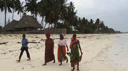 25732288 - Tanzania Wzdłuż Zanzibaru