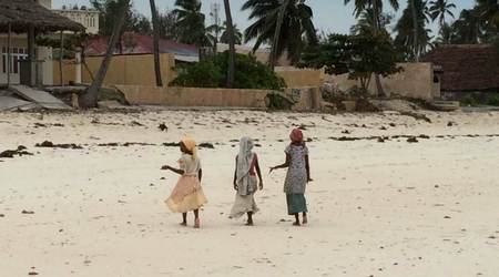 25732290 - Tanzania Wzdłuż Zanzibaru