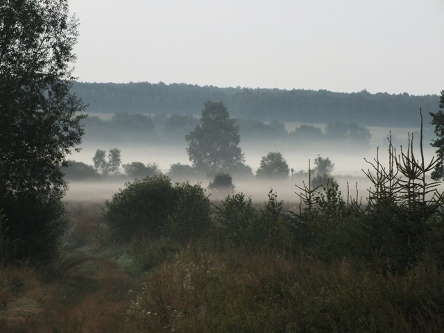 Dscf7055