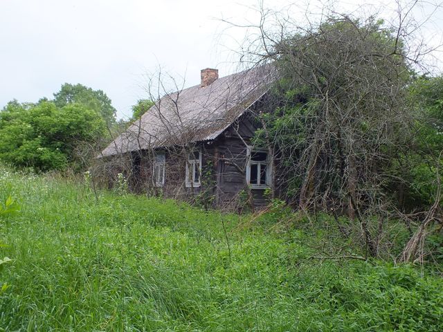 Dscf4620