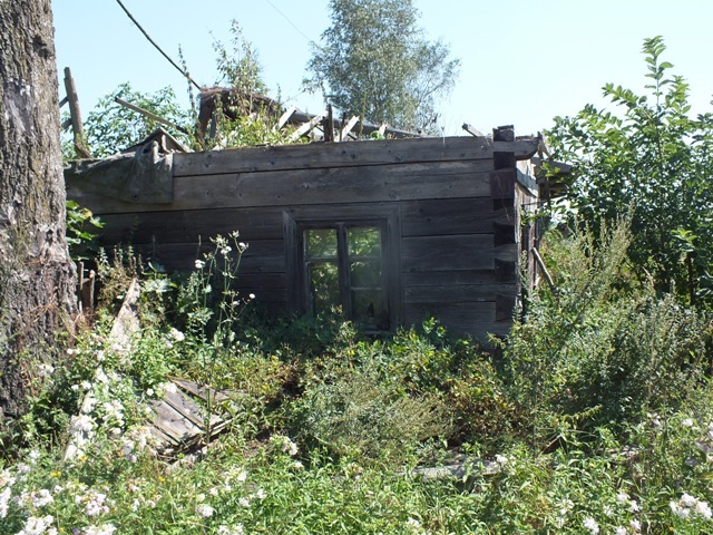 Dscf5862