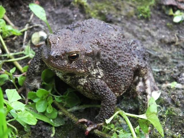 Dscf7076