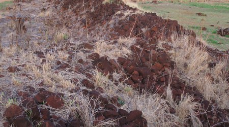 Czwartek  50 – Lihue, Stany Zjednoczone Ameryki