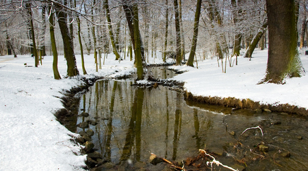 zima – Poznań, Polska